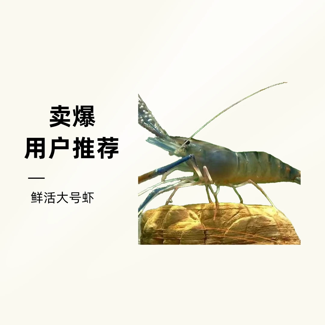 【鲜活打氧】大号罗氏虾/大头虾500g/份(12-16只左右)