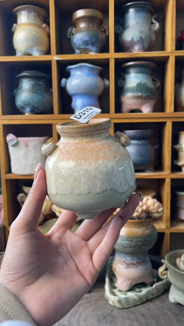 310内口4【多肉花盆多肉盆】