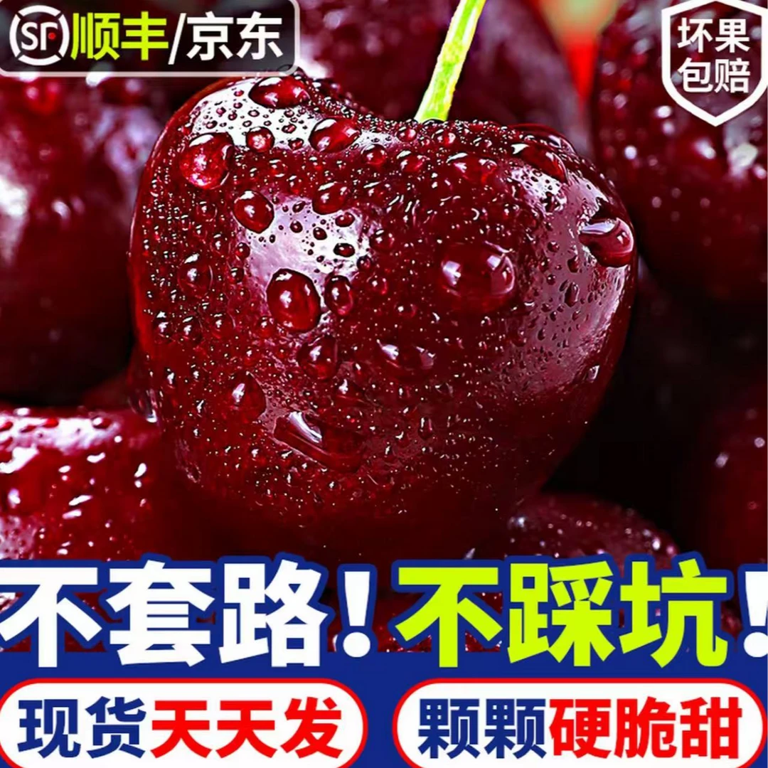 4【桑提娜次日达】3JD果王空运车厘子新鲜水果宝宝孕妇水果DS内附果径卡2500g桑提娜樱桃智利共和国