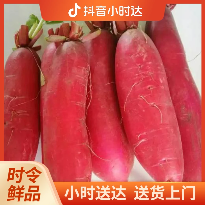 水萝卜500g