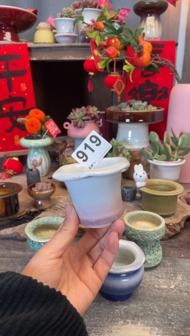 【闪购商品】摆件919知木小芳花盆