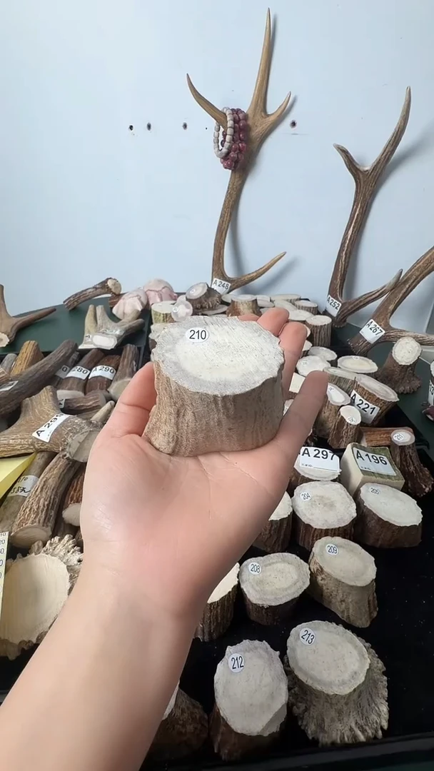 原皮鹿角雕刻料高密度