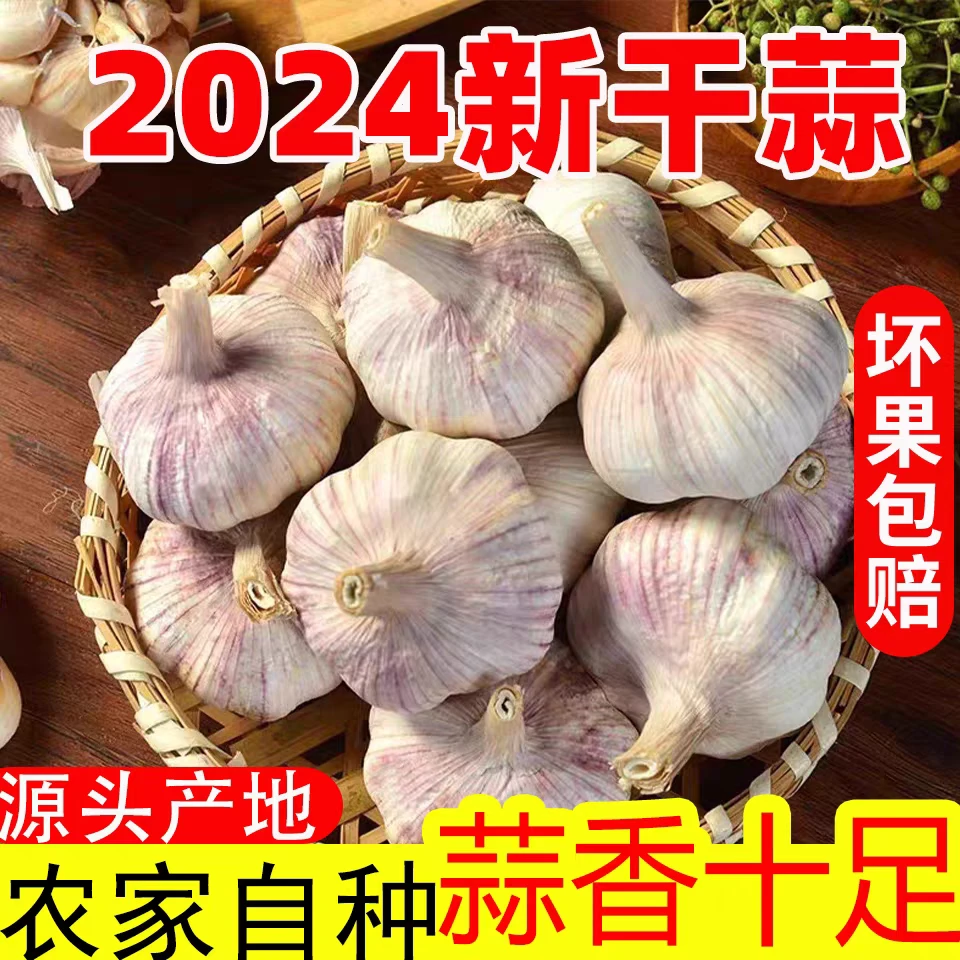 2024年新干蒜头农家干蒜5斤紫白皮杞县特产干大蒜大蒜头9斤1斤装