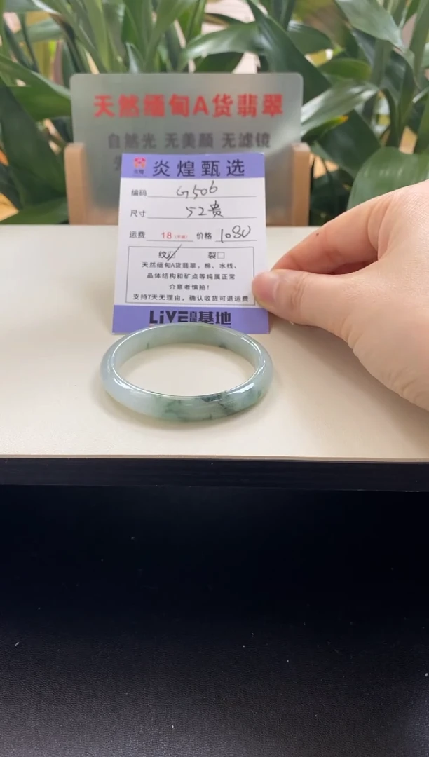 未镶嵌手镯翡翠枯**鸦圈口52贵妃编码g506