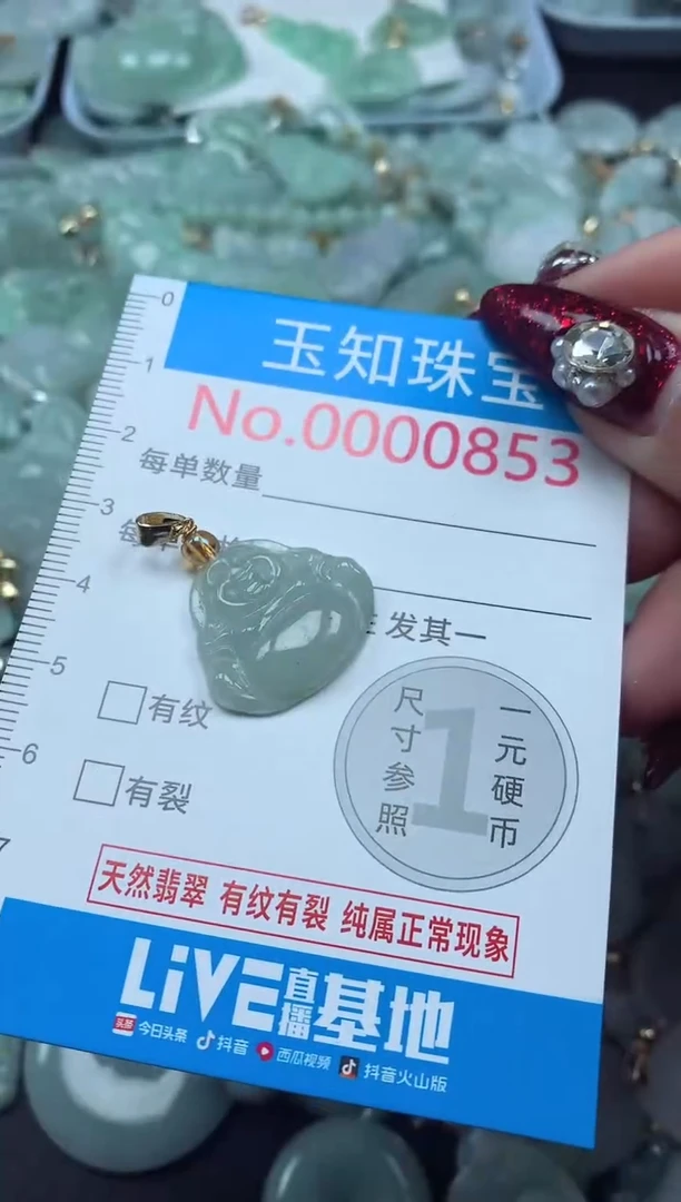 颈饰未镶嵌翡翠853