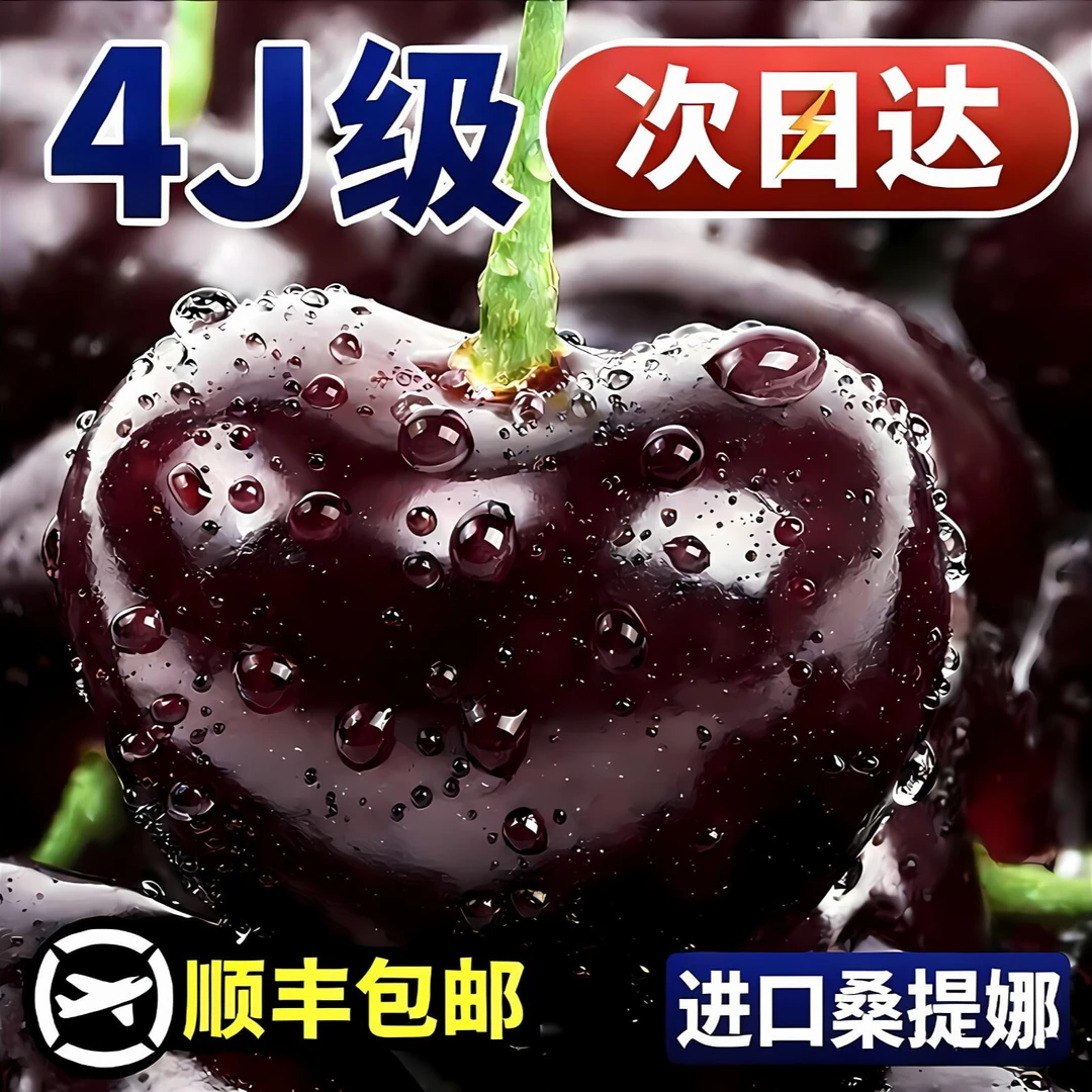 【顺丰明天送到】4JDD加大加黑智利空运桑提娜车厘子新鲜头茬果内附果径卡净重1.6斤桑提娜樱桃智利共和国