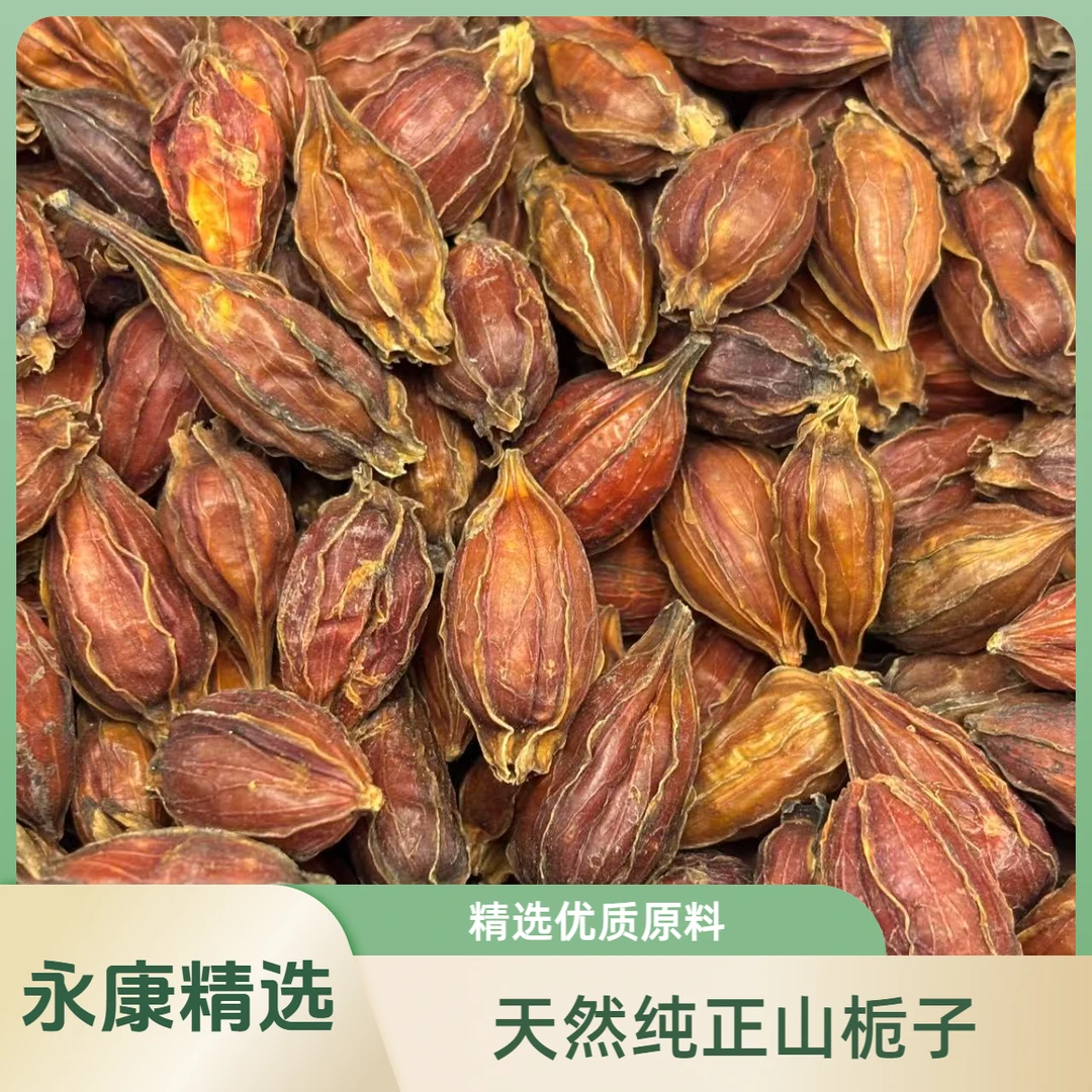 宏康臣仁康【栀子】上等正品山栀子中药材 多用途 kp005