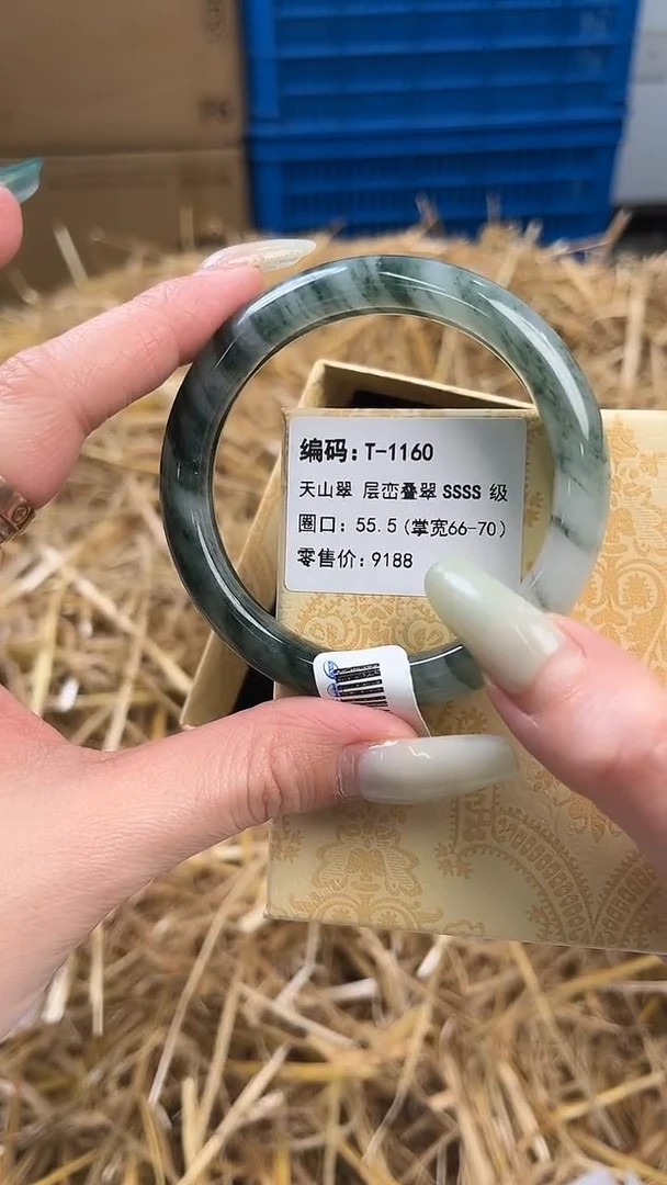 未镶嵌手镯石英质玉T-1160