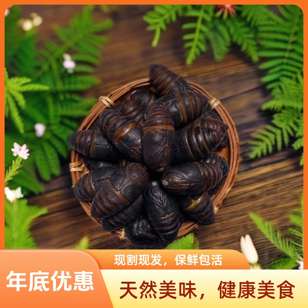 【西丰柞蚕蛹】 东北西丰小黑蚕蛹 高蛋白 多种膳食纤维