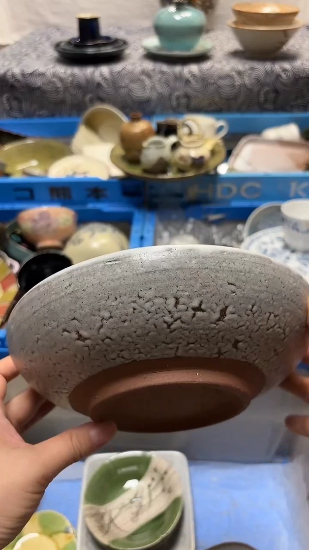 瓷片喵喵家都是大漂亮