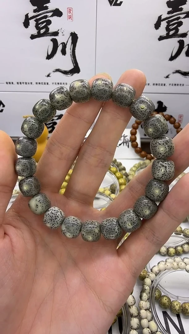 手串星月菩提11/10  满天星 星点货 同枝果 B11