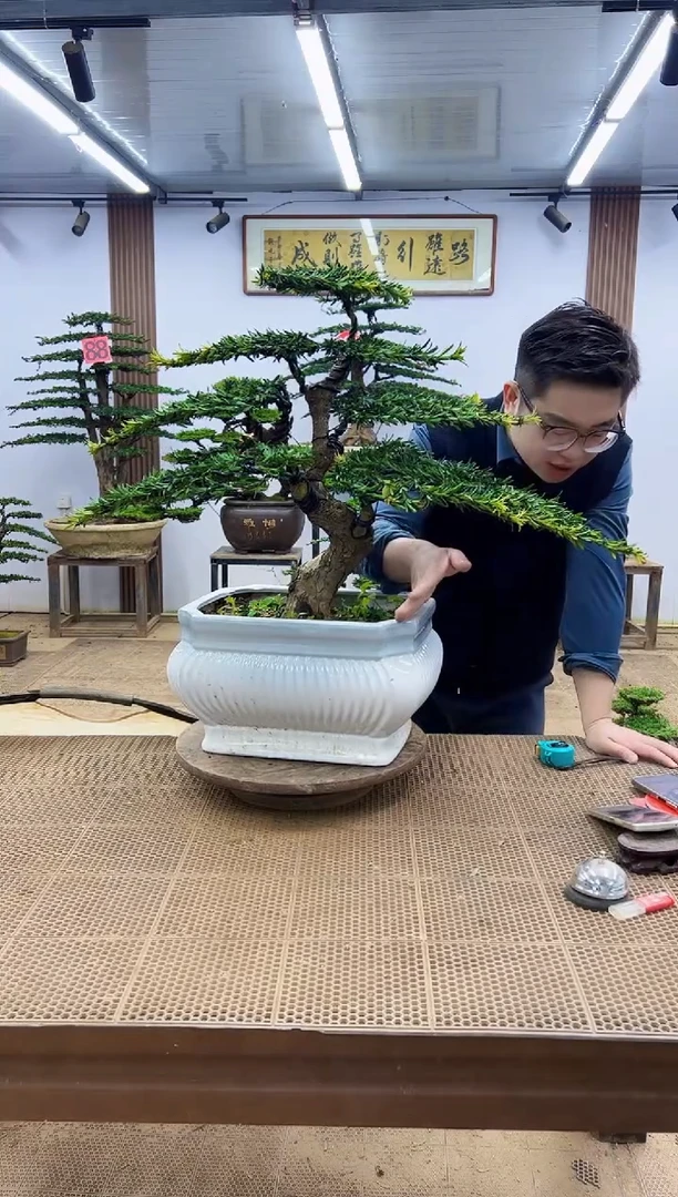 无花朵0000000000000000