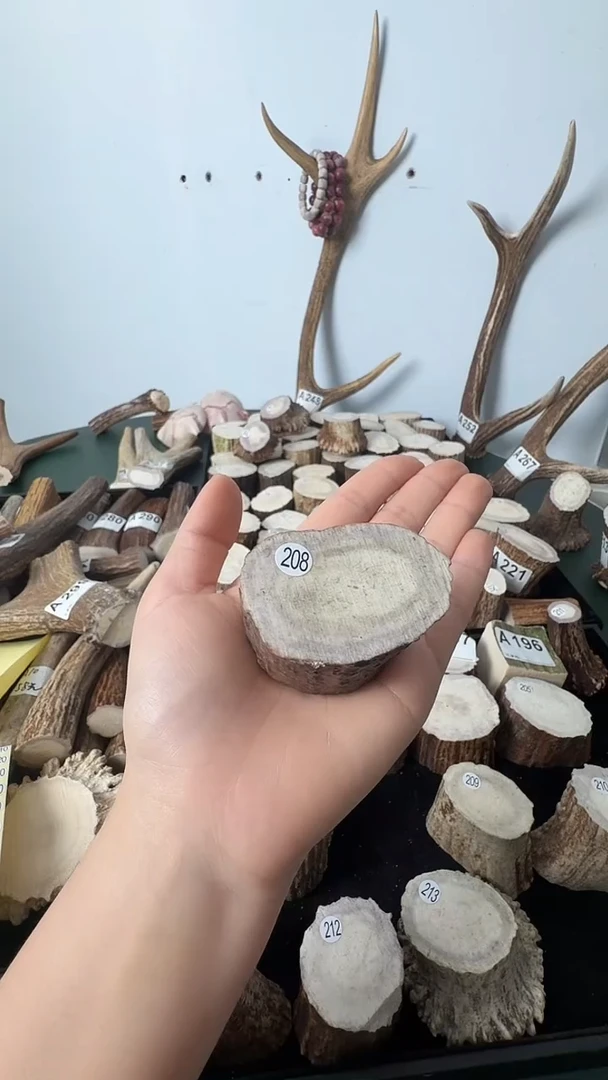 原皮鹿角雕刻料高密度