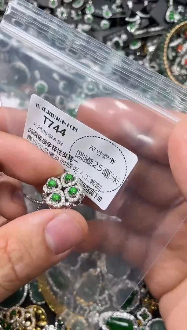 翡翠未镶嵌颈饰T744项链
