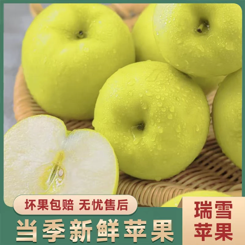 淳化瑞雪苹果新鲜采摘高原品质满口百花香产地直发