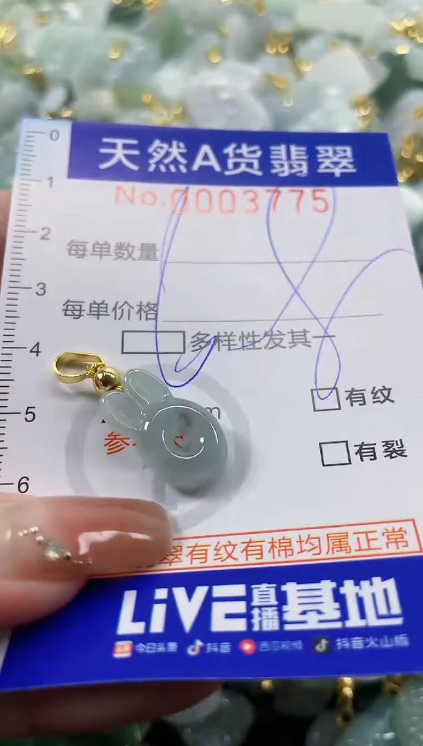 颈饰未镶嵌翡翠天然A货翡翠