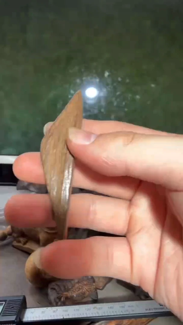 沉香吊坠多样性发一