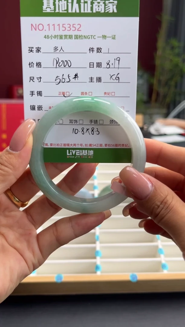 翡翠手镯未镶嵌多人