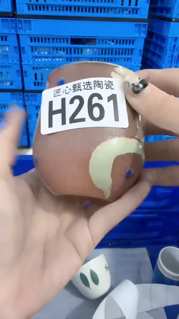 瓷片不***8         H261