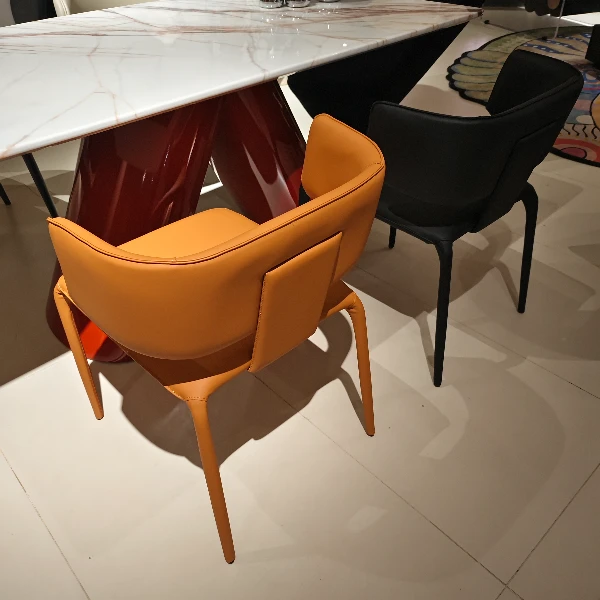 环抱餐椅轻奢客厅个性创意北欧简约家用餐厅茶室会客食厅设计