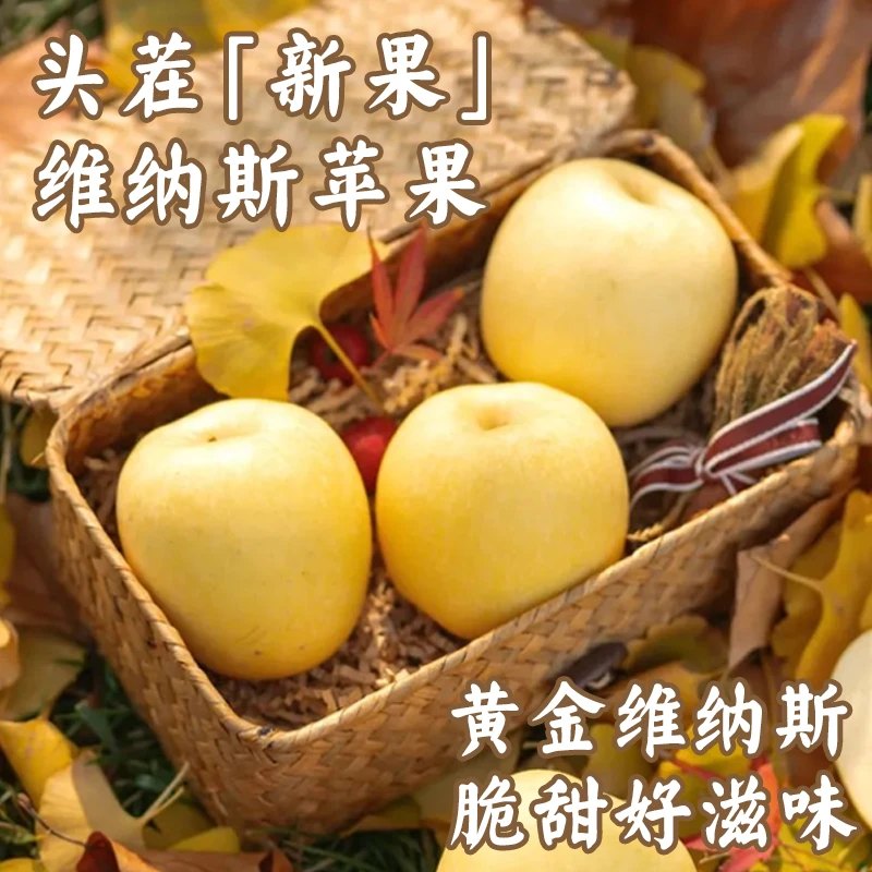 新疆正宗阿克苏维纳斯黄金苹果2025头茬新果礼盒送礼