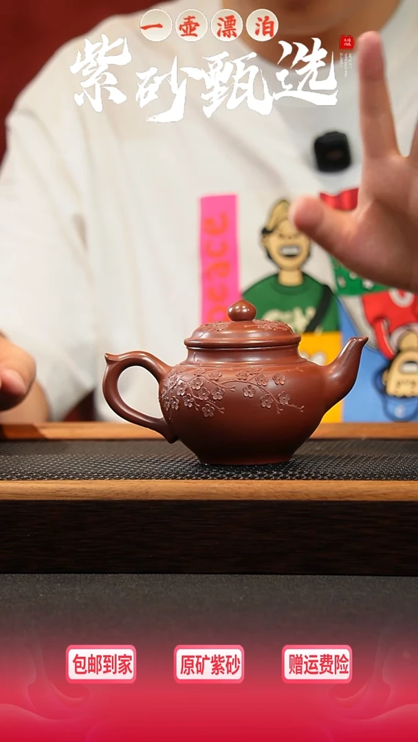 茶壶紫砂 一壶漂泊紫砂茶器1320