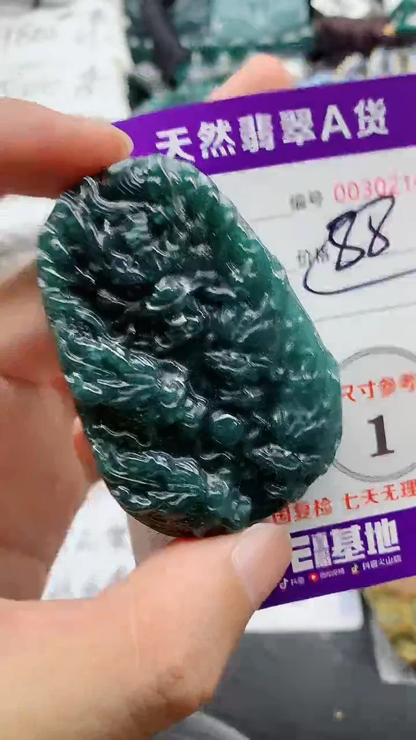 翡翠未镶嵌颈饰88888888
