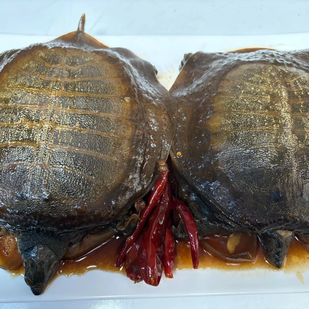 麻辣甲鱼(甲鱼2只).