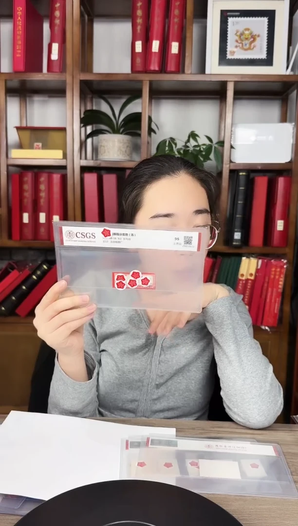 文13 盖销 指示