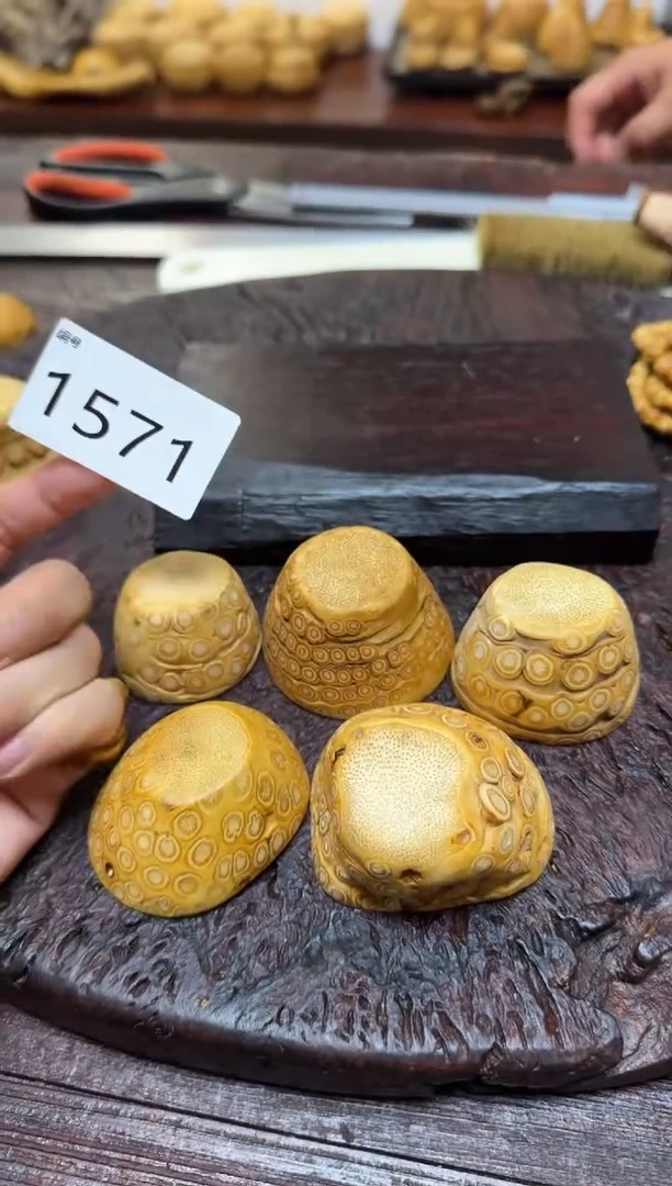 竹1571竹竹竹竹竹竹竹