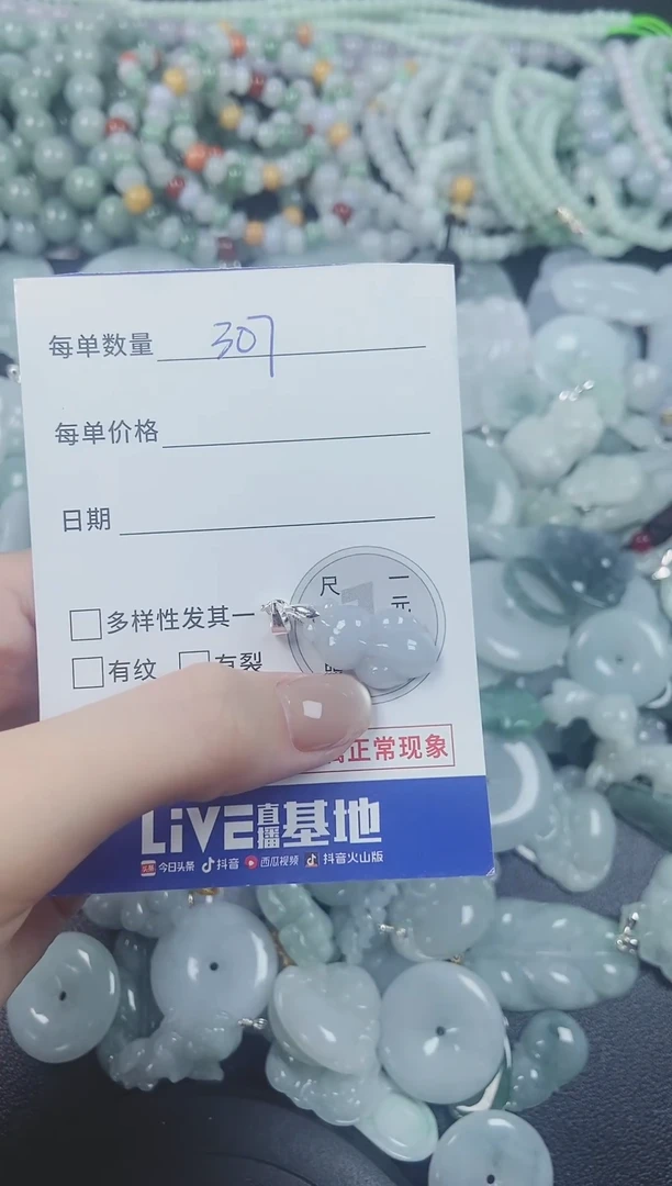 翡翠未镶嵌颈饰034