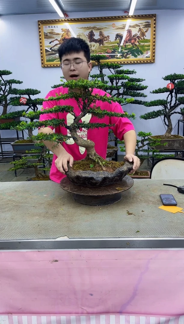 无花朵一物一拍，所见即所得