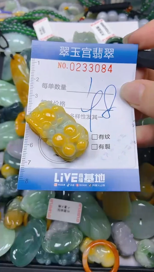 颈饰未镶嵌翡翠闪购C0233084