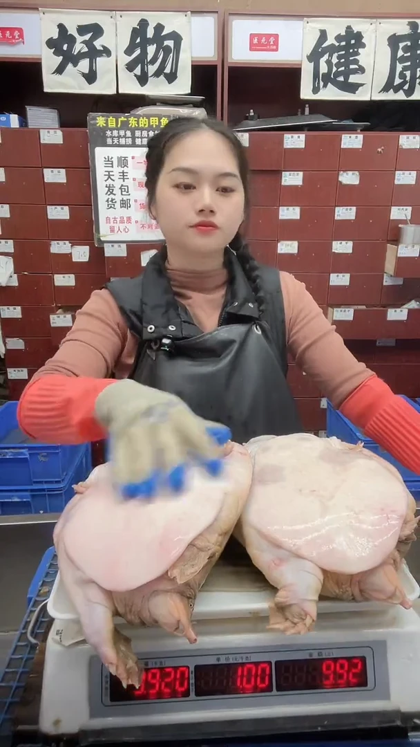 中国大陆金**业两只合计9.9斤