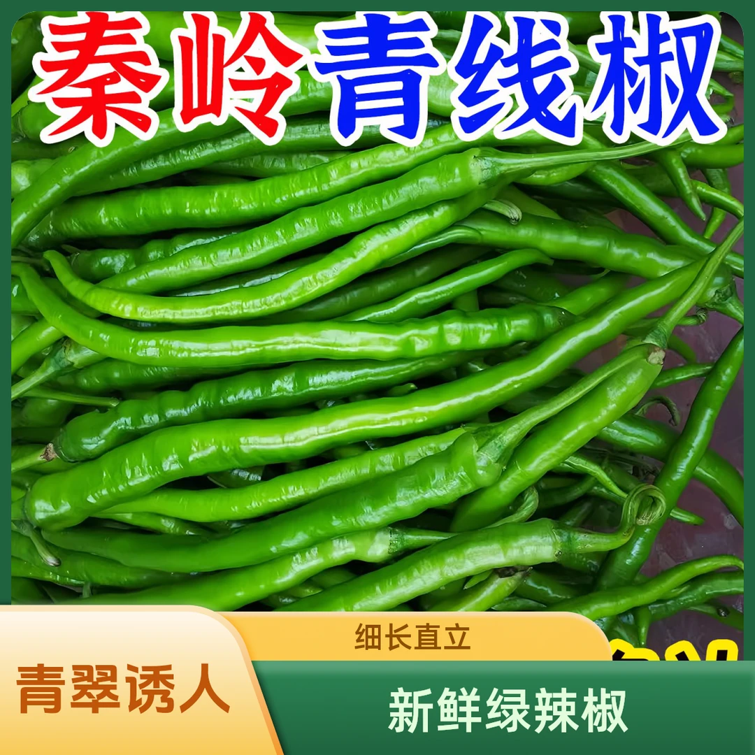 线椒辣椒新鲜薄皮尖椒二荆条当季蔬菜批发1/3/5斤现摘现发小黄瓜