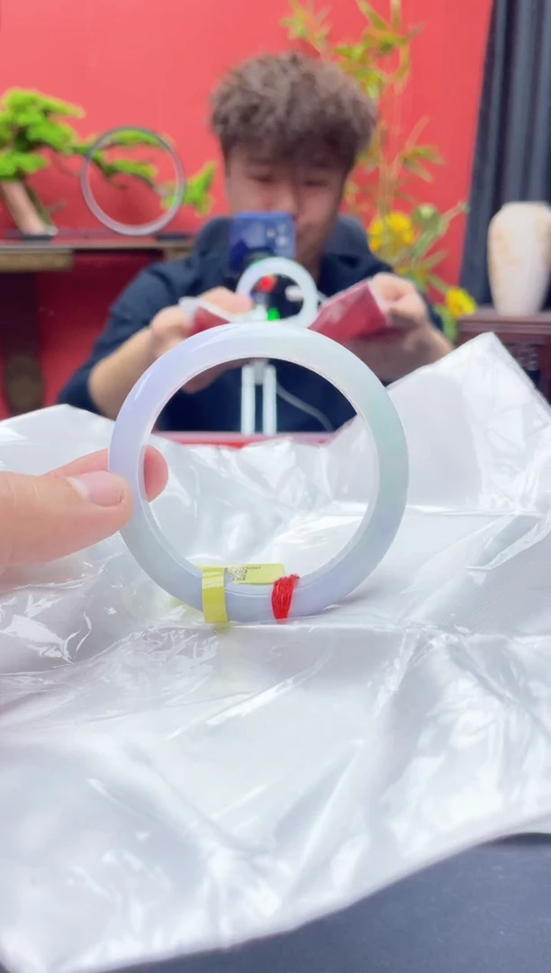 未镶嵌手镯翡翠15