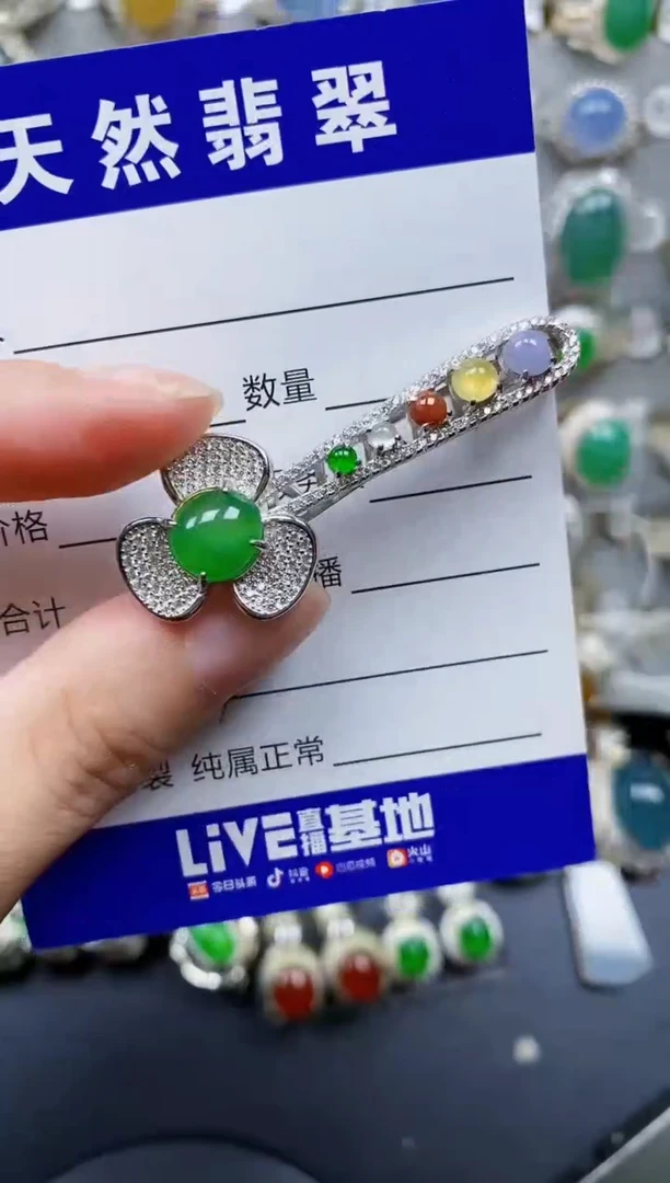 翡翠银S925镶嵌颈饰677