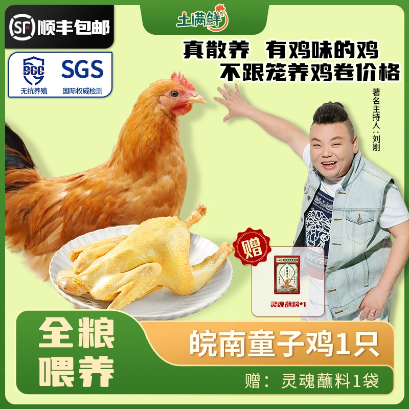 【童子鸡1只】土满鲜皖南健康低卡散养土鸡童子鸡鲜嫩健康现杀整只