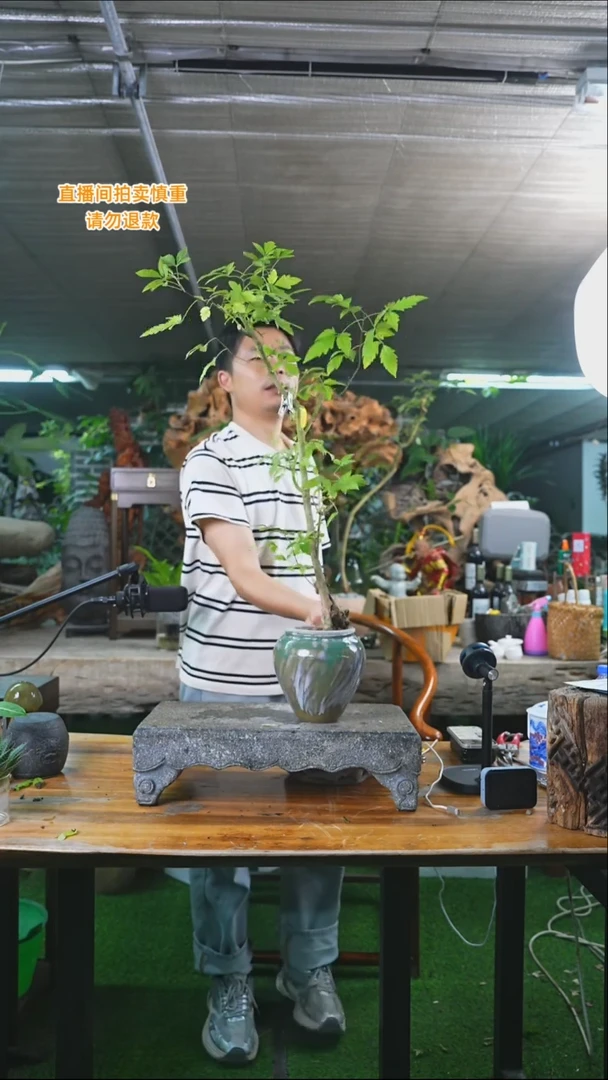 完全开放黄荆206+