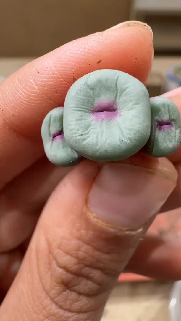 14-216多肉植物肉锥0089