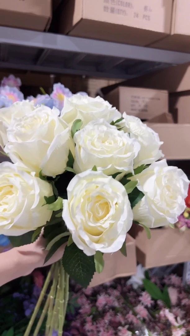 10枝白色洛神花花