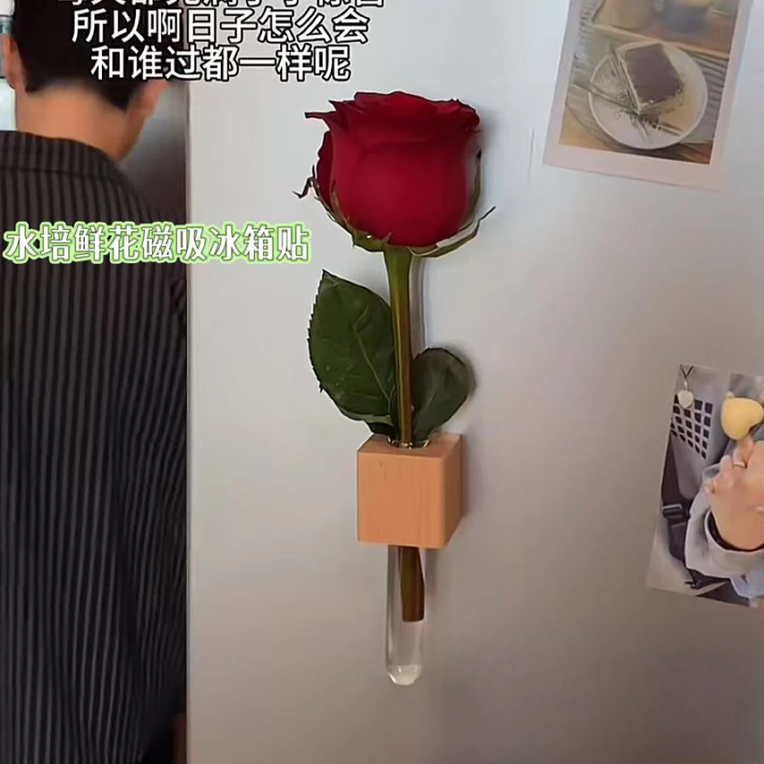 【包邮】冰箱贴花瓶养花的试管水培鲜花磁吸冰箱贴每天一支花