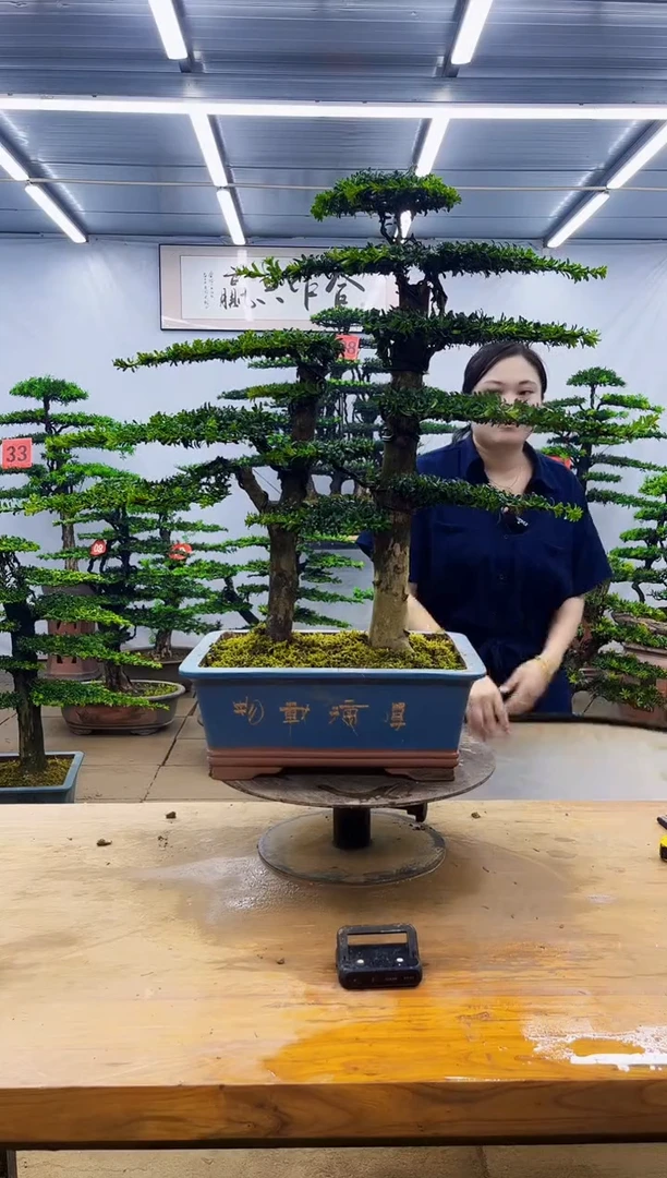 无花朵一物一拍，所见即所得