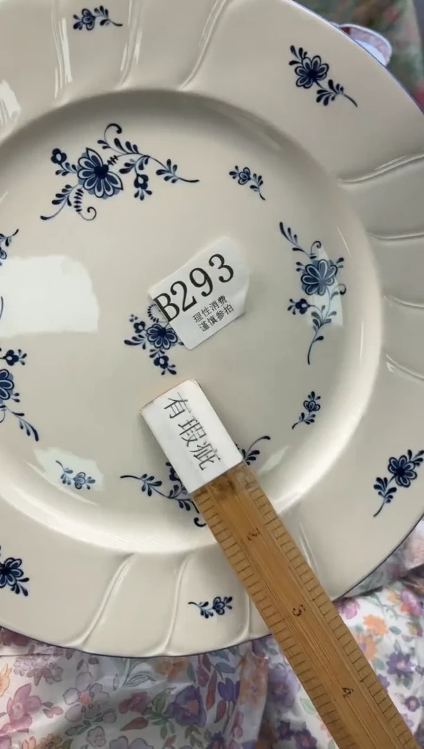 瓷片S***s       B293