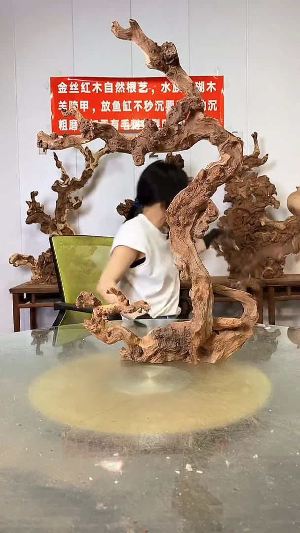 香榧木金丝红木  羊蹄甲