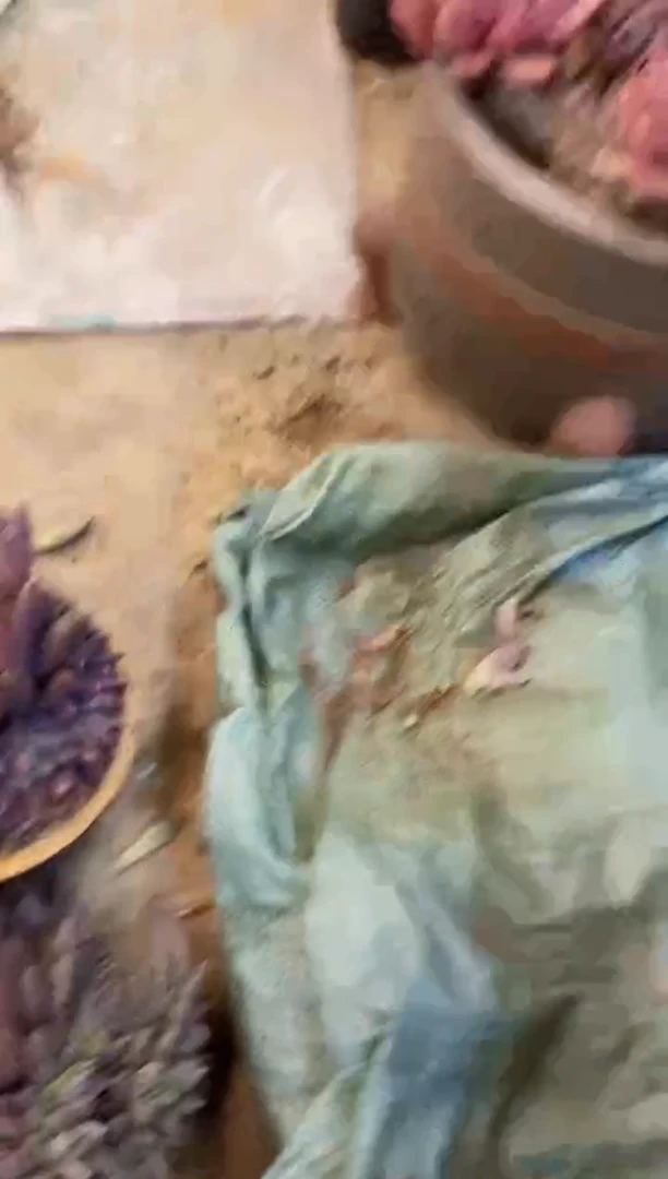 阳**丽     18号绚丽红蜻蜓￥20