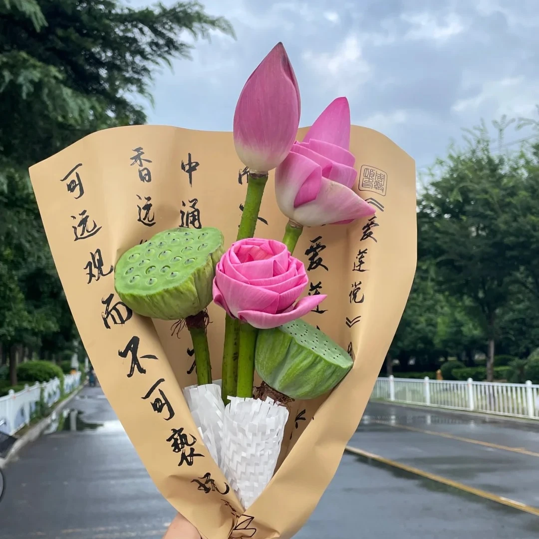 首衡花易购【莲蓬】鲜花次日达批发直播品质全场任选两单升级顺丰