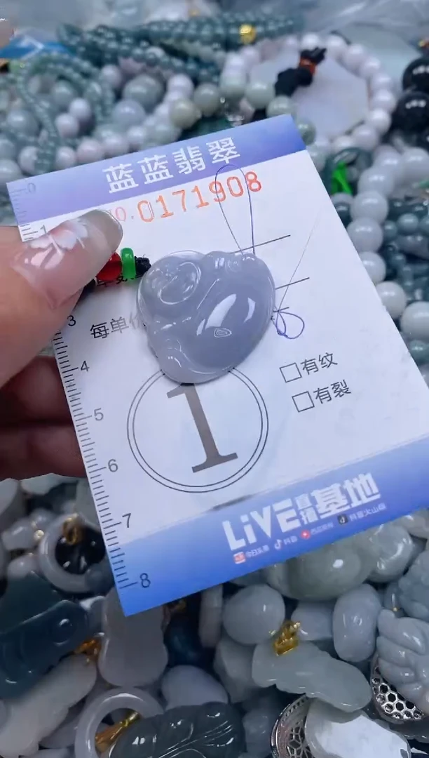 【闪购商品】翡翠颈饰未镶嵌闪购0171908