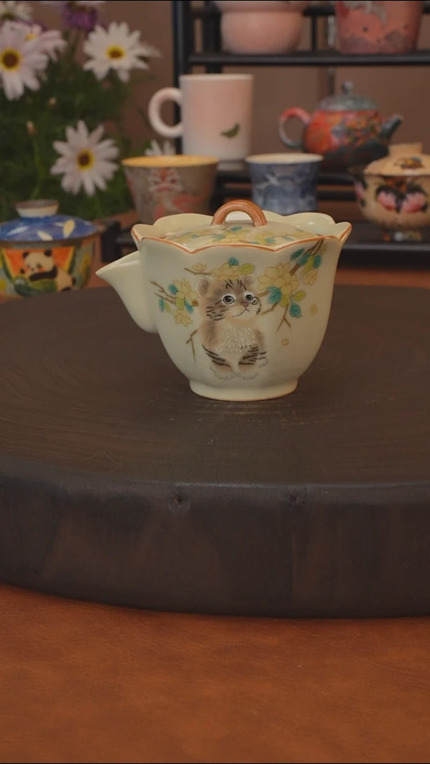 桂花喵系列 手抓宝瓶
