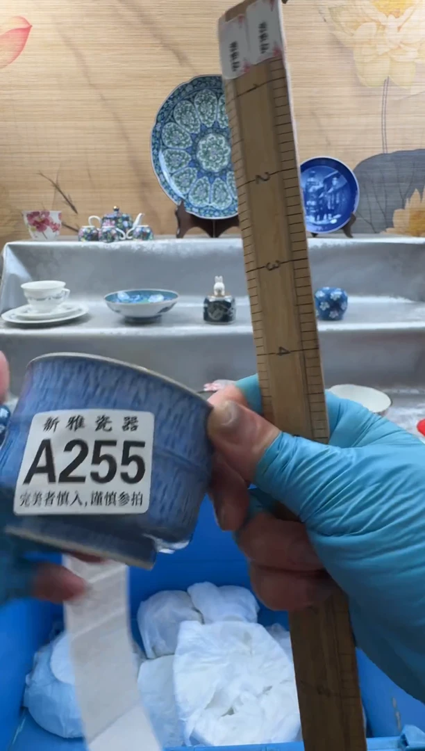 瓷片✨****✨          A255